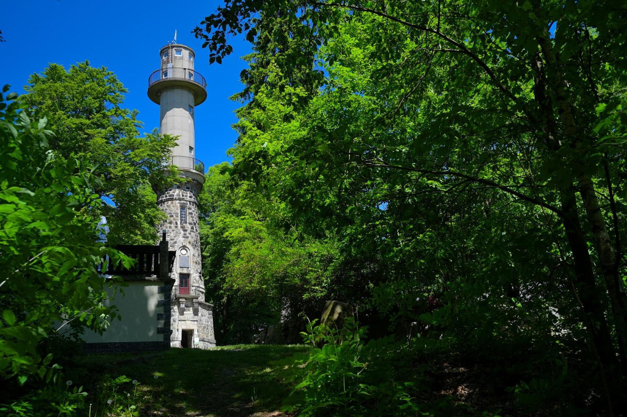Gasthof Ungerberg Neustadt in Sachsen Εξωτερικό φωτογραφία