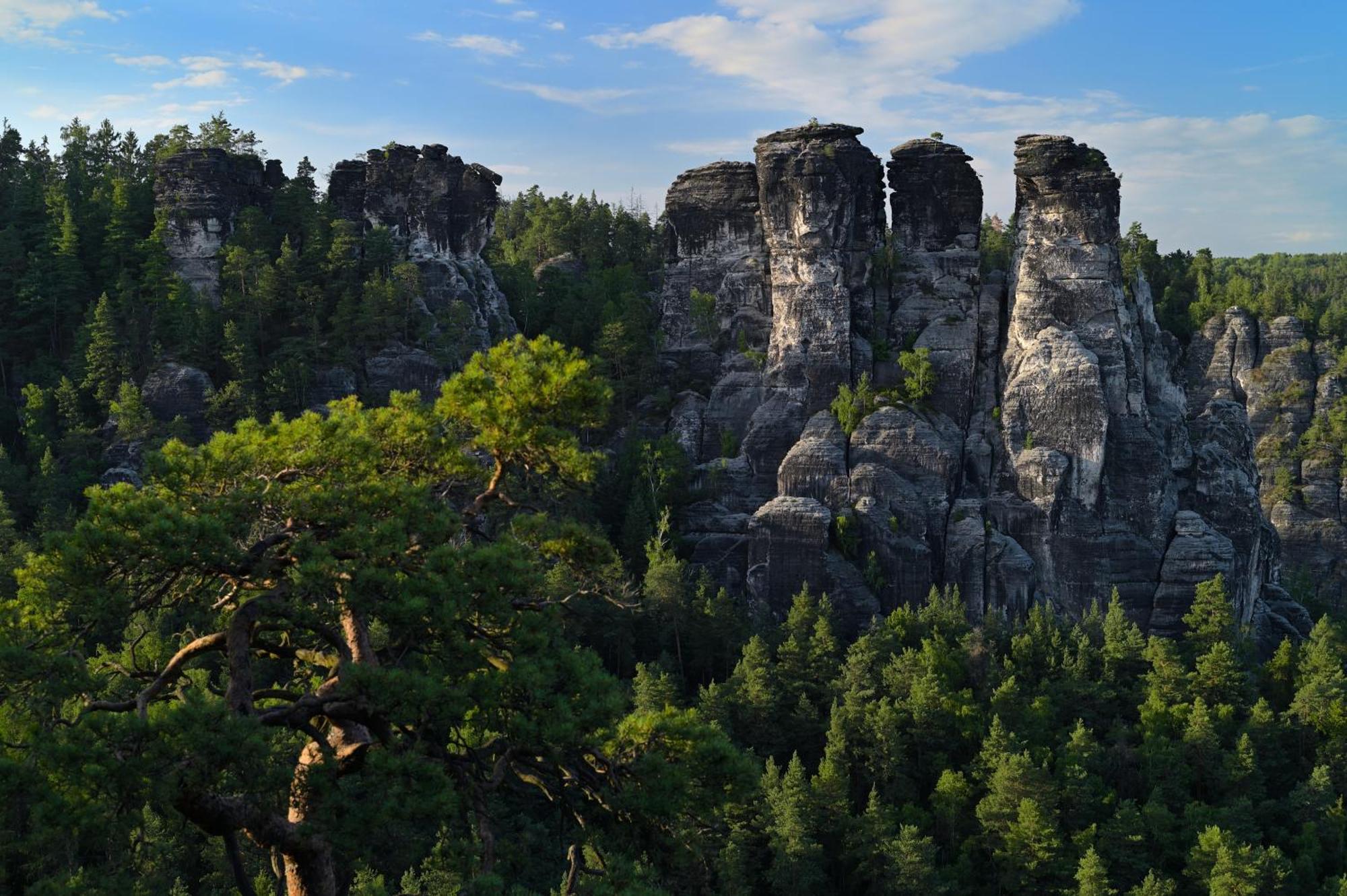 Gasthof Ungerberg Neustadt in Sachsen Εξωτερικό φωτογραφία
